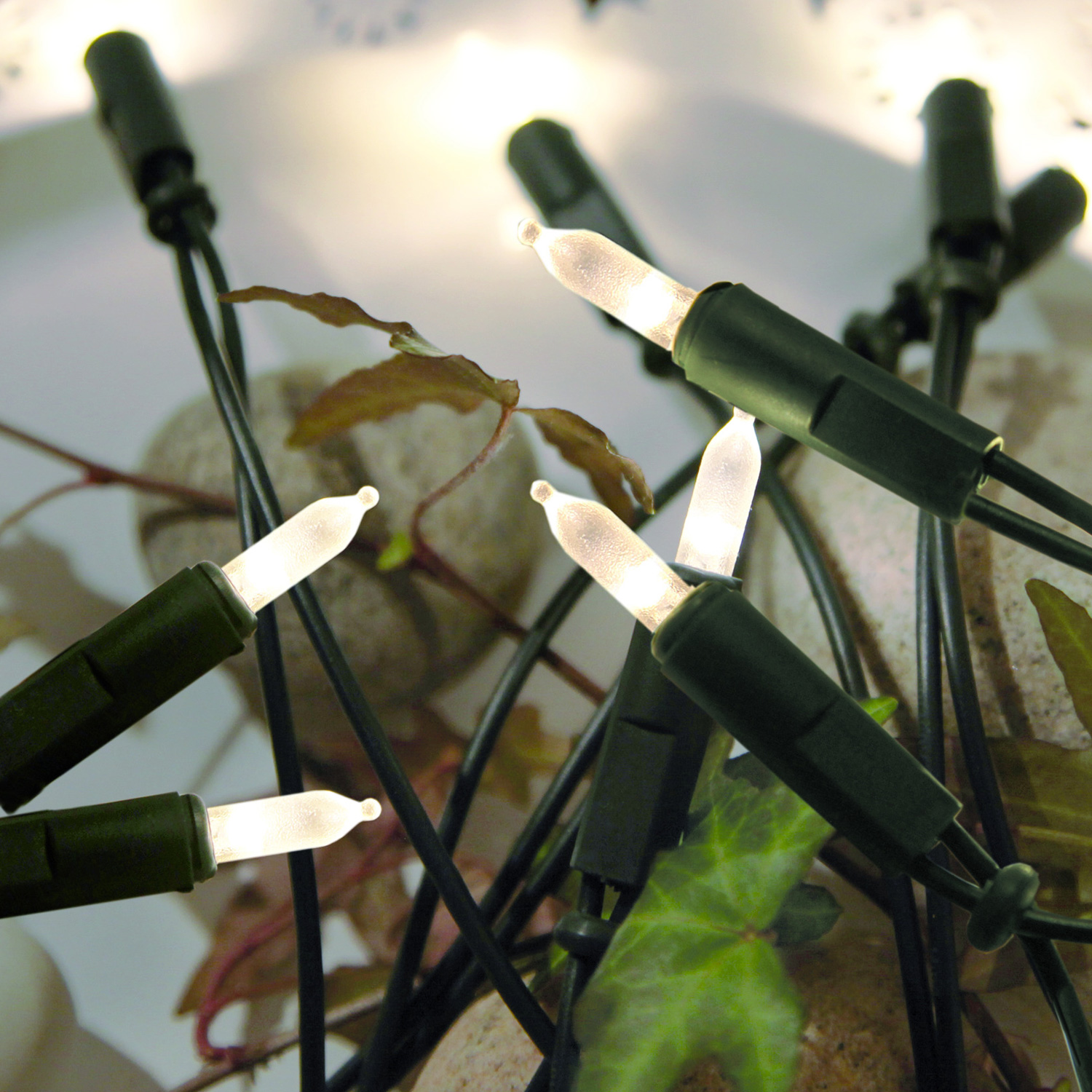 LED Mini | - - grünes 2,85m L: indoor 20 Kabel Lichterketten gefrostet Pisello LED - - Experte warmweiße Lichterkette 