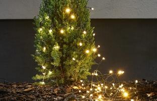 Weihnachten Lichterketten Experte | Lichterketten |